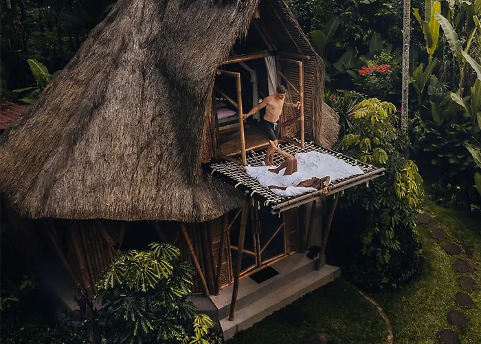 Kumbuh Jungle *