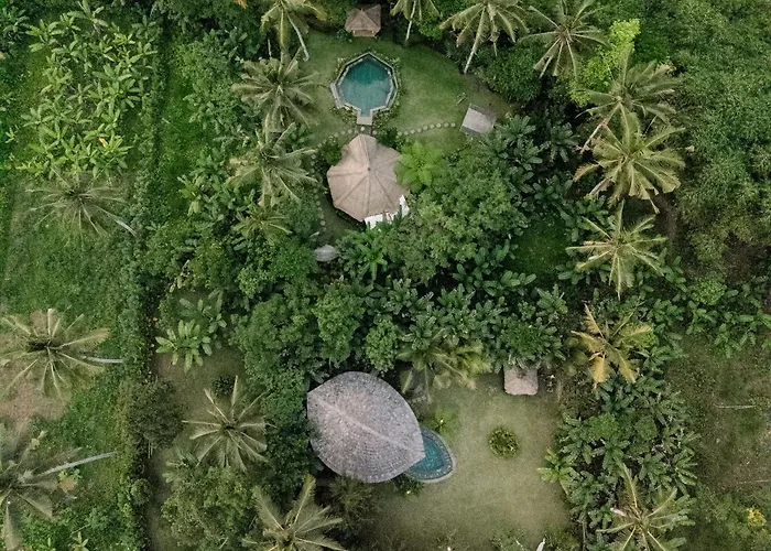 Villa Kumbuh Jungle